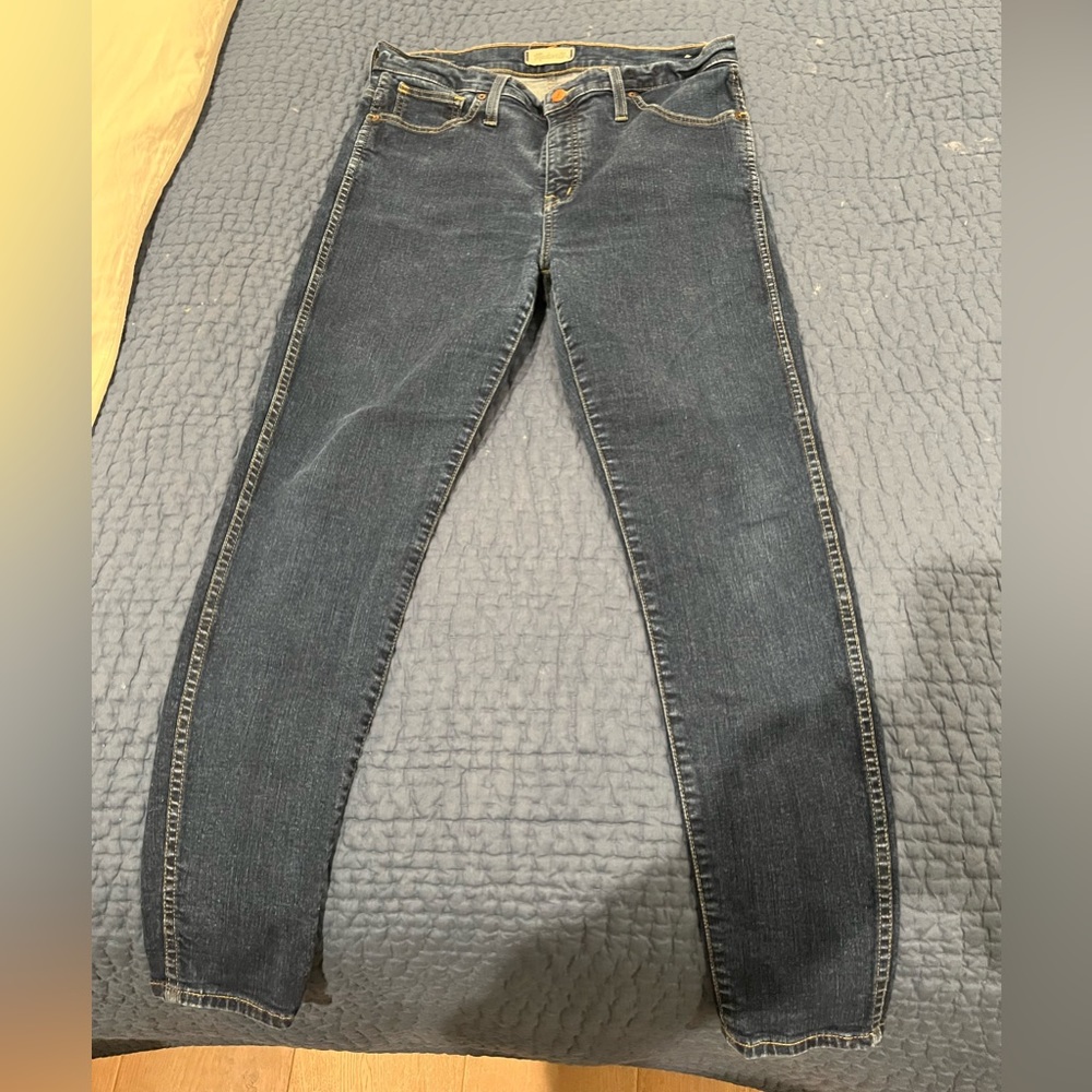Madewell 10 inch High Rise Skinny Jean Size 32